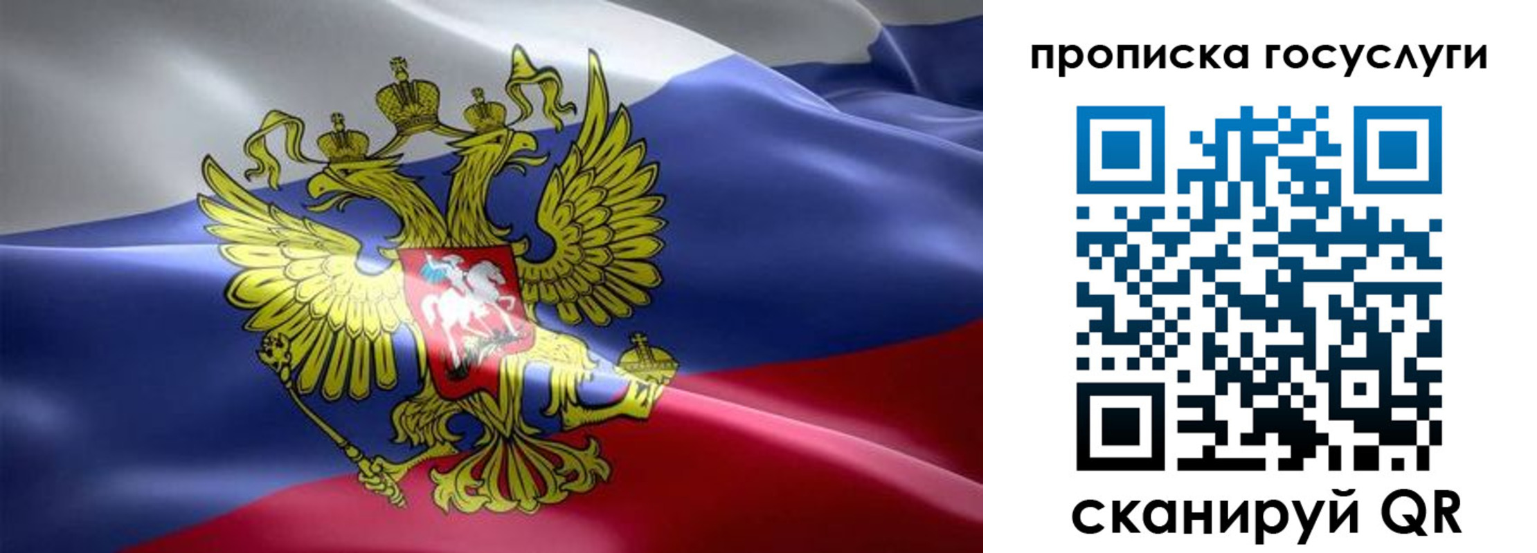 прописка законно в Борзе